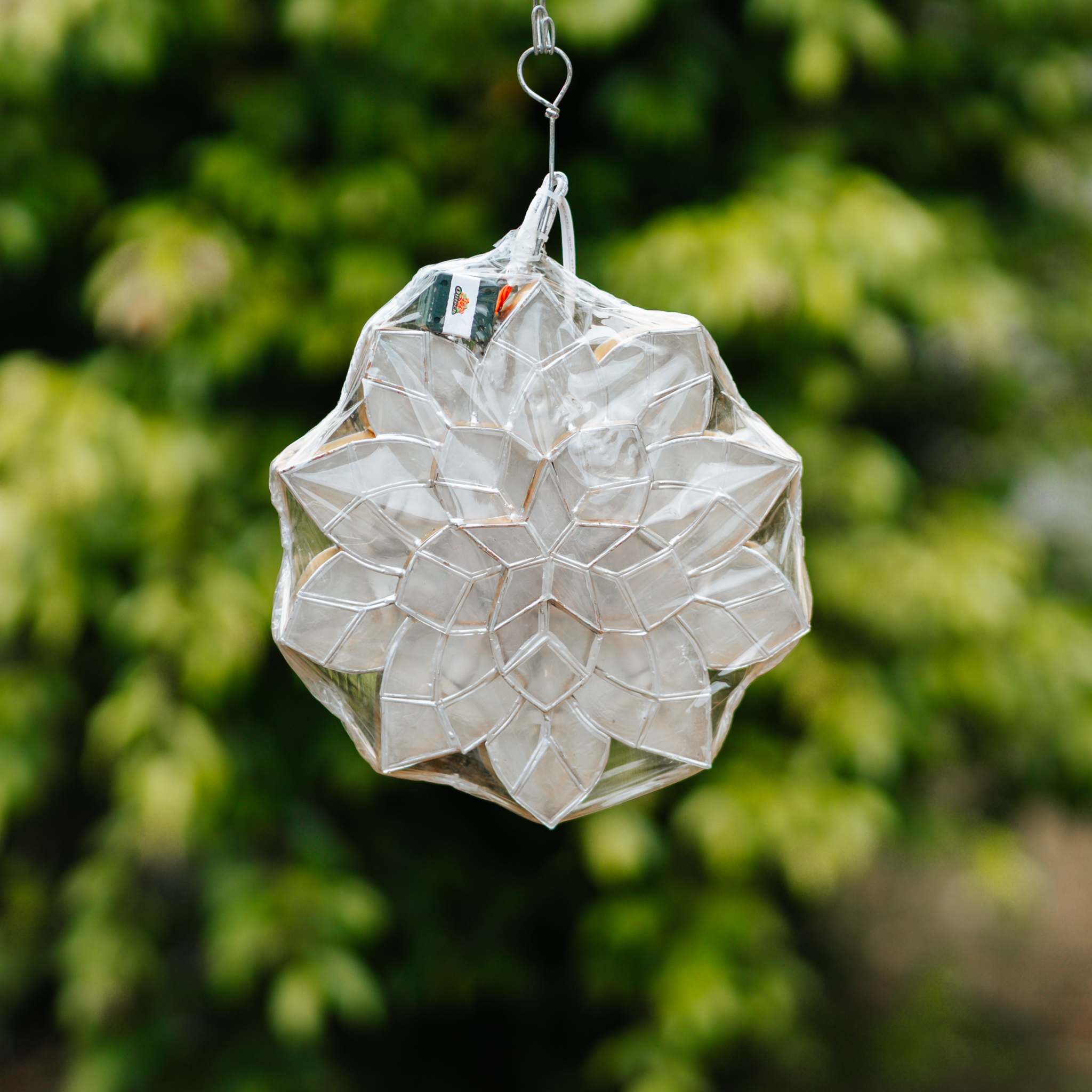 Maningning (10 inches)