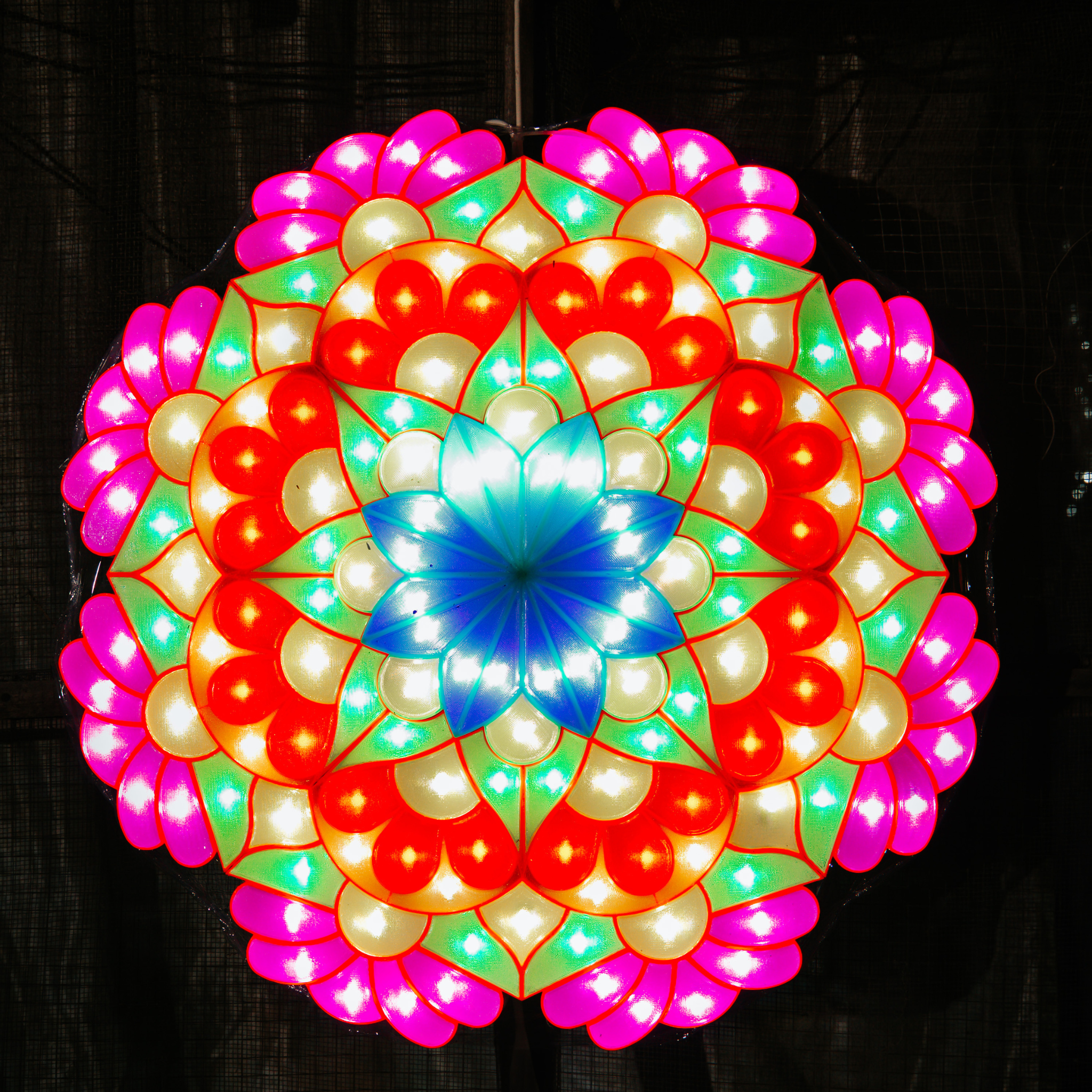 Aurora (25 inches)