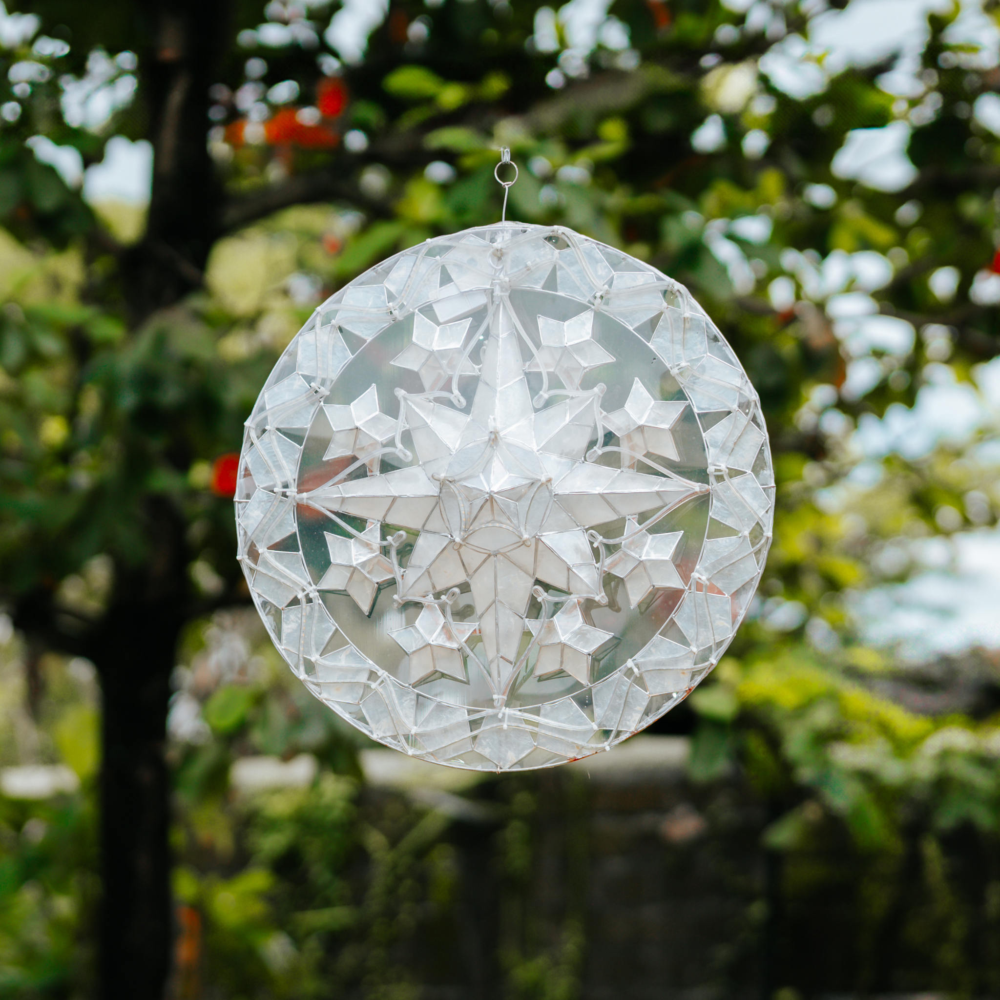 Celeste (25 inches)