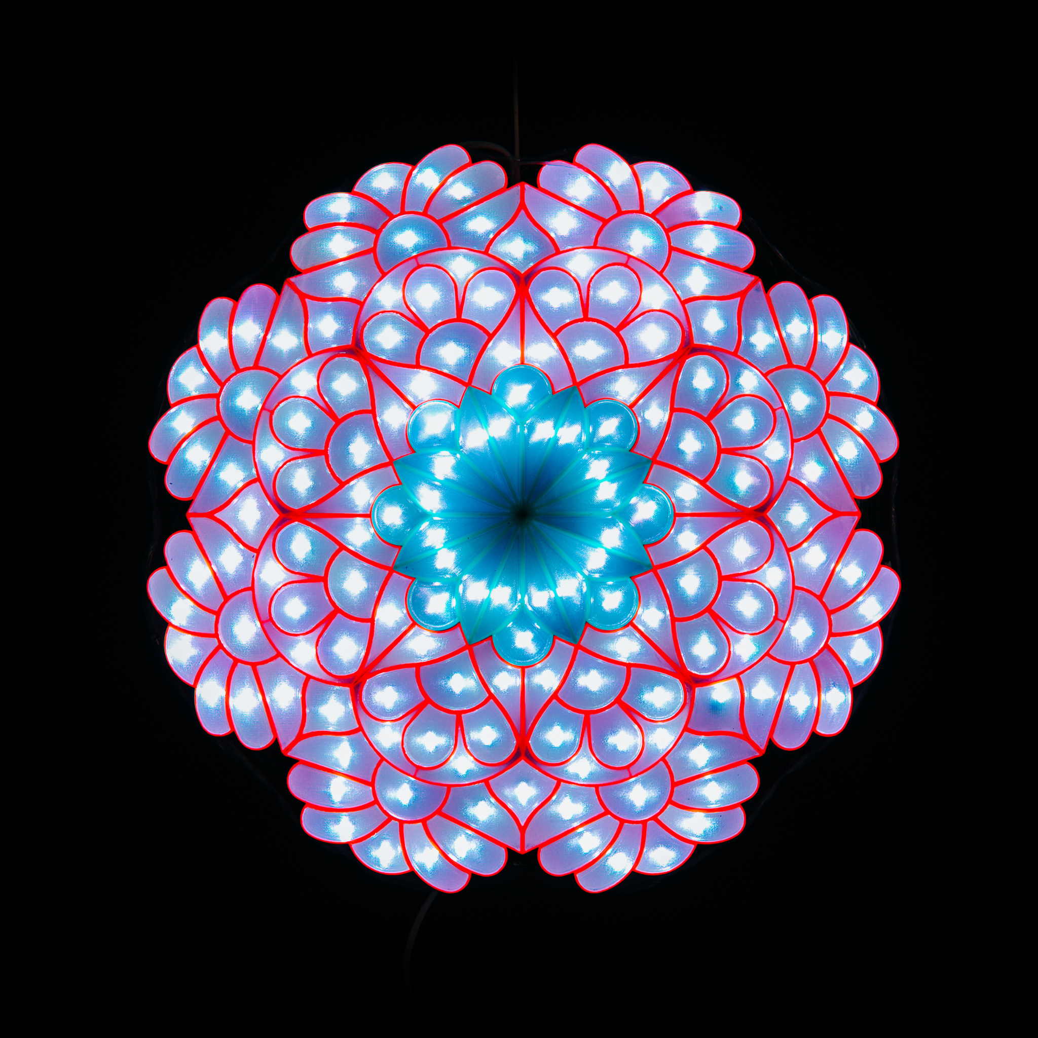 Aurora (25 inches)