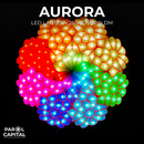 Aurora (25 inches)