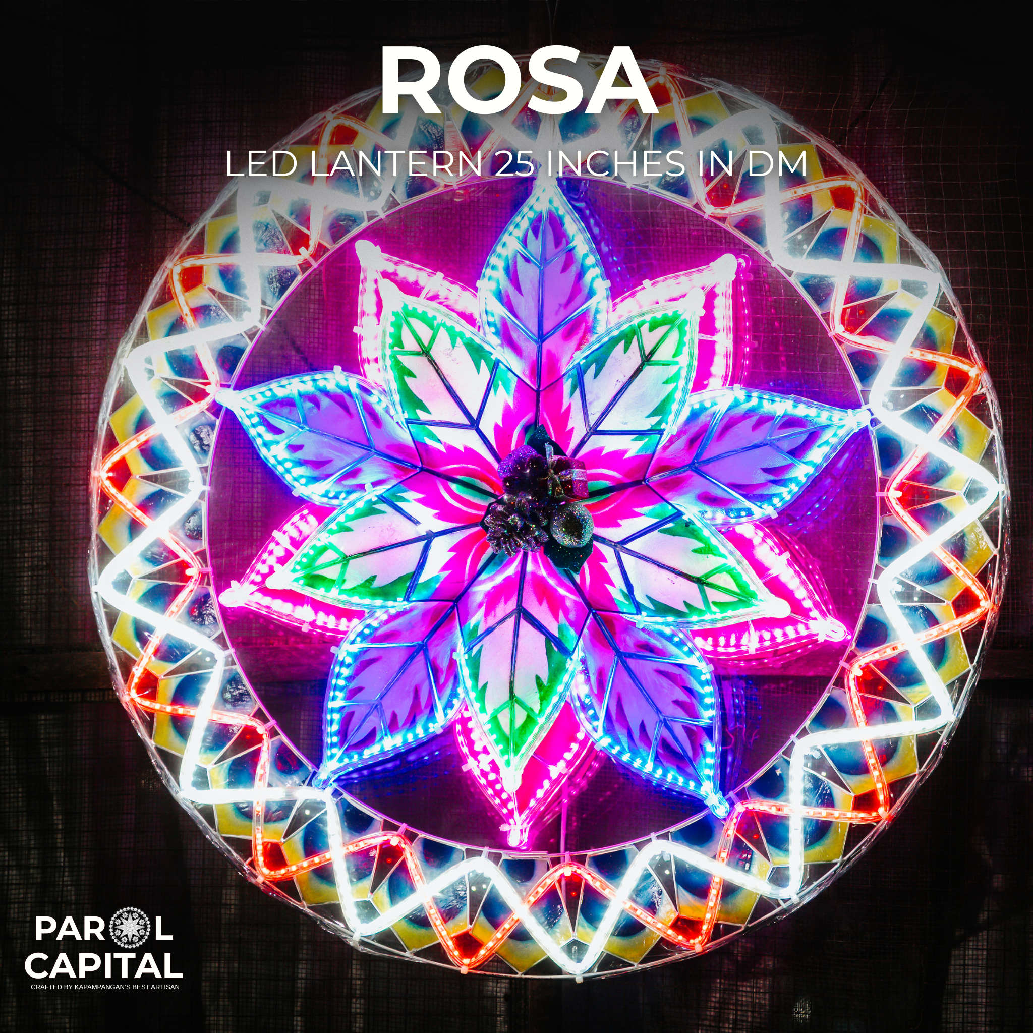 Rosa (25 inches)